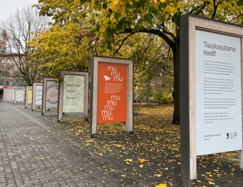 Erilahendused messidele