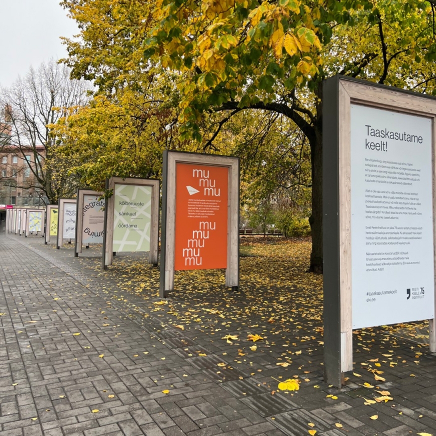 Erilahendused messidele